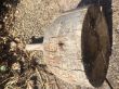 09 EUR Eisstock aus Holz_Amano.JPG