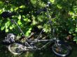 90 EUR 20Zoll Klapprad DAHON passt in Sporttasche auf Gepaecktraeger ermeoglicht kostenlose S-Bahn-Fahrt Flugmitnahme etc.JPG