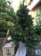 49 EUR Weihnachtsbaum steckbar 120cm mit 100 Lampen.JPG